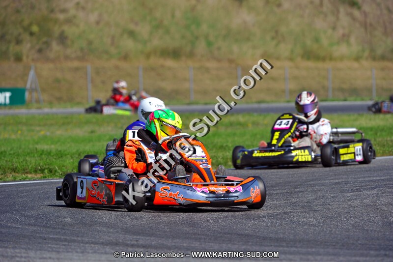 DSC_ (1249).jpg